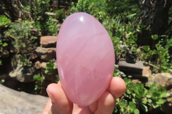 Polished Rose Quartz Standing Free Forms x 5 From Madagascar