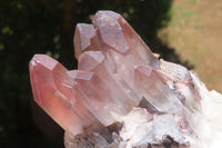 Natural Red Hematoid Quartz Clusters x 3 From Karoi, Zimbabwe