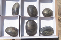 Polished Pharaoh Stone Free Forms x 6 From Zimbabwe