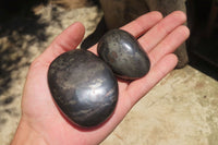 Polished Pharaoh Stone Free Forms x 6 From Zimbabwe