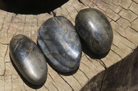 Polished Pharaoh Stone Free Forms x 6 From Zimbabwe