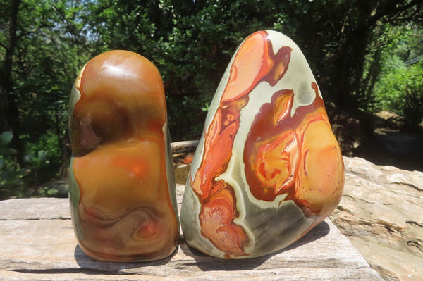 Polished Polychrome Jasper Standing Free Forms x 2 From Madagascar