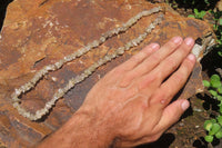 Polished Golden Rutile Quartz Tumble Chip Beaded Necklace - Sold Per Item - From Brazil