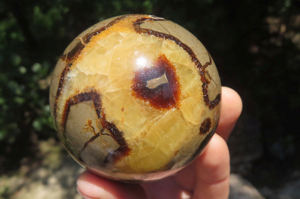 Polished Septerye Spheres x 4 From Madagascar