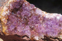 Natural Zululand Amethyst Geodes x 4 from Jozini, South Africa