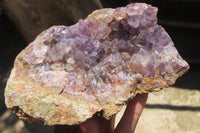 Natural Zululand Amethyst Geodes x 4 from Jozini, South Africa