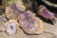 Natural Zululand Amethyst Geodes x 4 from Jozini, South Africa