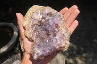 Natural Zululand Amethyst Geodes x 4 from Jozini, South Africa