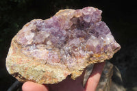 Natural Zululand Amethyst Geodes x 4 from Jozini, South Africa