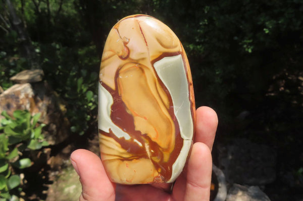 Polished Polychrome Jasper Standing Free Forms x 5 From Madagascar