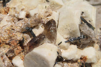 Natural Smokey Quartz On Aegirine Specimens x 2 From Malawi