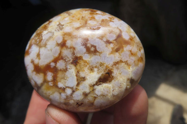 Polished Flower Agate Palm Stones x 12 From Madagascar