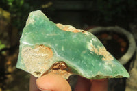 Polished On One Side Emerald Mtorolite x 6 From Mutorashanga, Zimbabwe