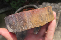 Polished Petrified Wood Slices x 3 From Zimbabwe