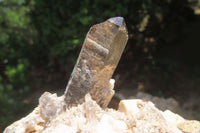 Natural Aegirine & Smokey Quartz Specimens x 2 From Malawi