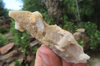 Natural Fairy Spirit Quartz Clusters x 13 From Boekenhouthoek, South Africa