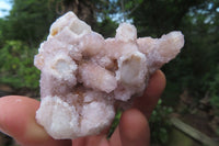 Natural Fairy Spirit Quartz Clusters x 13 From Boekenhouthoek, South Africa