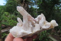 Natural Fairy Spirit Quartz Clusters x 13 From Boekenhouthoek, South Africa