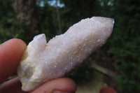 Natural Fairy Spirit Quartz Clusters x 13 From Boekenhouthoek, South Africa