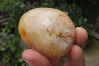 Polished Carnelian Palm Stones x 24 From Madagascar