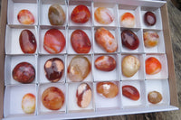 Polished Carnelian Palm Stones x 24 From Madagascar