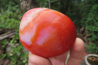 Polished Carnelian Palm Stones x 24 From Madagascar