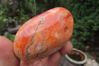 Polished Carnelian Palm Stones x 24 From Madagascar