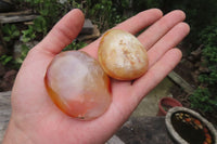 Polished Carnelian Palm Stones x 24 From Madagascar