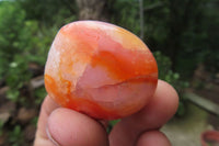 Polished Carnelian Palm Stones x 24 From Madagascar