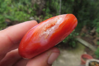 Polished Carnelian Palm Stones x 24 From Madagascar