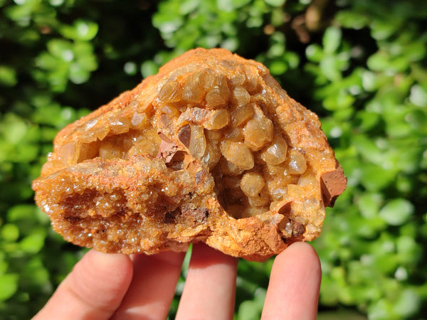 Natural Limonite Quartz Clusters x 6 From Solwezi, Zambia