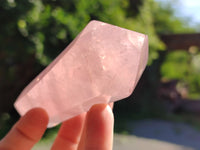 Polished Double Terminated Rose Quartz Points x 6 From Ambatondrazaka, Madagascar