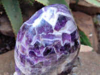 Polished Chevron Amethyst Standing Free Form x 1 from Zambia