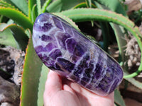 Polished Chevron Amethyst Standing Free Form x 1 from Zambia