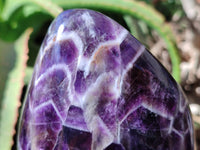 Polished Chevron Amethyst Standing Free Form x 1 from Zambia