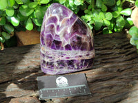 Polished Chevron Amethyst Standing Free Form x 1 from Zambia