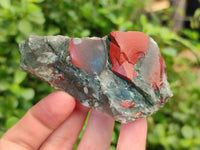 Natural Bloodstone Cobbed Specimens x 35 From Swaziland