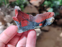 Natural Bloodstone Cobbed Specimens x 35 From Swaziland