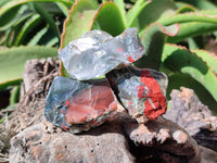 Natural Bloodstone Cobbed Specimens x 35 From Swaziland