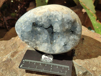 Polished Celestite Egg Geodes x 2 From Sakoany, Madagascar