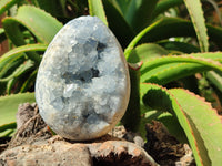 Polished Celestite Egg Geodes x 2 From Sakoany, Madagascar