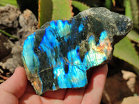 Polished On One Side Labradorite x 6 From Tulear, Madagascar