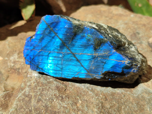 Polished On One Side Labradorite x 6 From Tulear, Madagascar