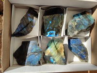 Polished On One Side Labradorite x 6 From Tulear, Madagascar