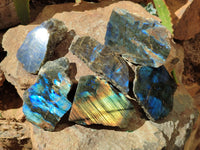 Polished On One Side Labradorite x 6 From Tulear, Madagascar