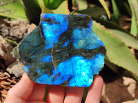 Polished On One Side Labradorite x 6 From Tulear, Madagascar