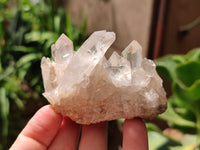 Natural Mixed Quartz Clusters x 13 From Madagascar