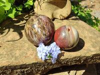 Polished Podocarpus Petrified Wood Spheres x 2 From Mahajanga, Madagascar