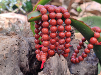 Polished Red Jasper Beaded Stretch Buddha Bracelet - Sold Per Item - From South Africa