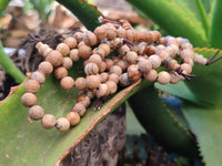 Polished Namibian Desert Picture Stone Jasper Beaded Stretch Buddha Bracelet - Sold Per Item - From Namibia